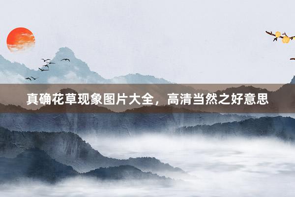 真确花草现象图片大全，高清当然之好意思