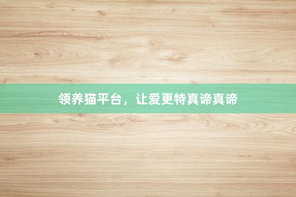 领养猫平台，让爱更特真谛真谛