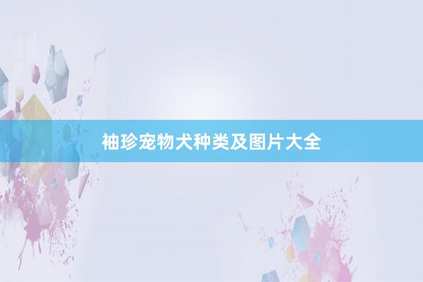 袖珍宠物犬种类及图片大全