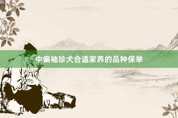 中偏袖珍犬合适家养的品种保举