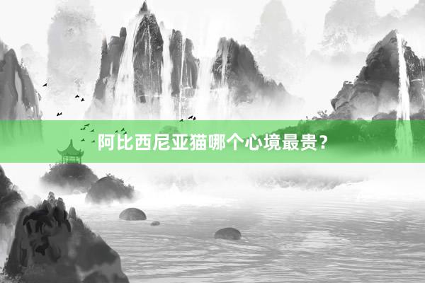 阿比西尼亚猫哪个心境最贵？
