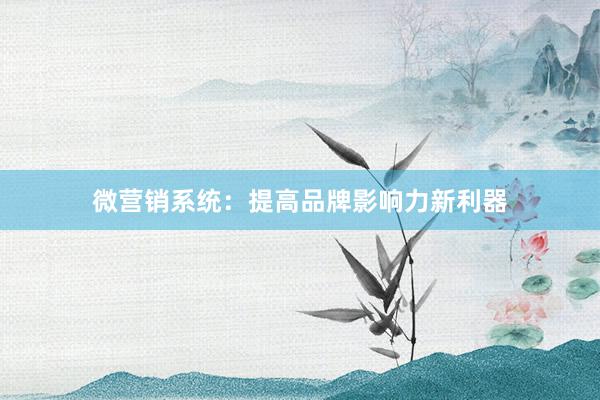 微营销系统：提高品牌影响力新利器